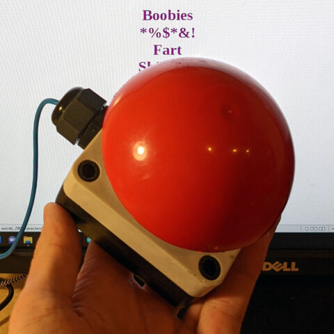 A large red emergency button, held in a hand, infront of a computer screen. On the screen are swear words.